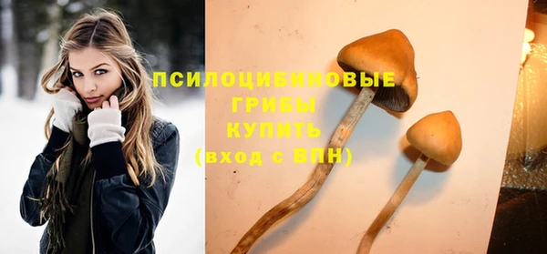 стафф Абаза