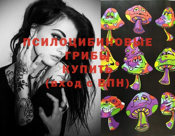 стафф Абаза