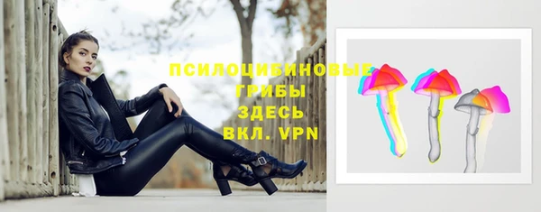 стафф Абаза