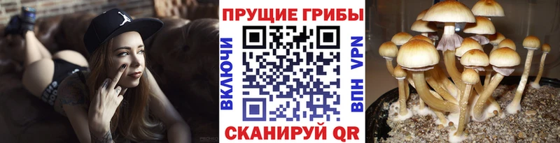 Галлюциногенные грибы MAGIC MUSHROOMS  Барнаул 